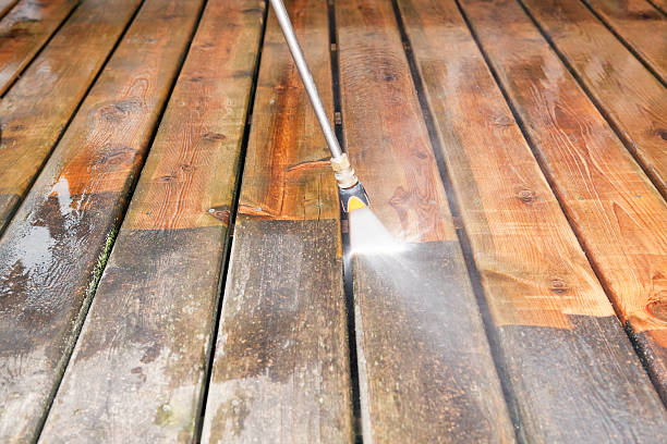 Best Driveway Pressure Washing  in Portland, TN